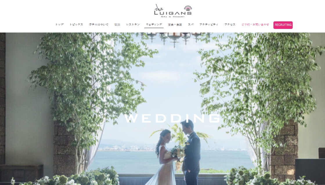 ザ・ルイガンズ Image 1